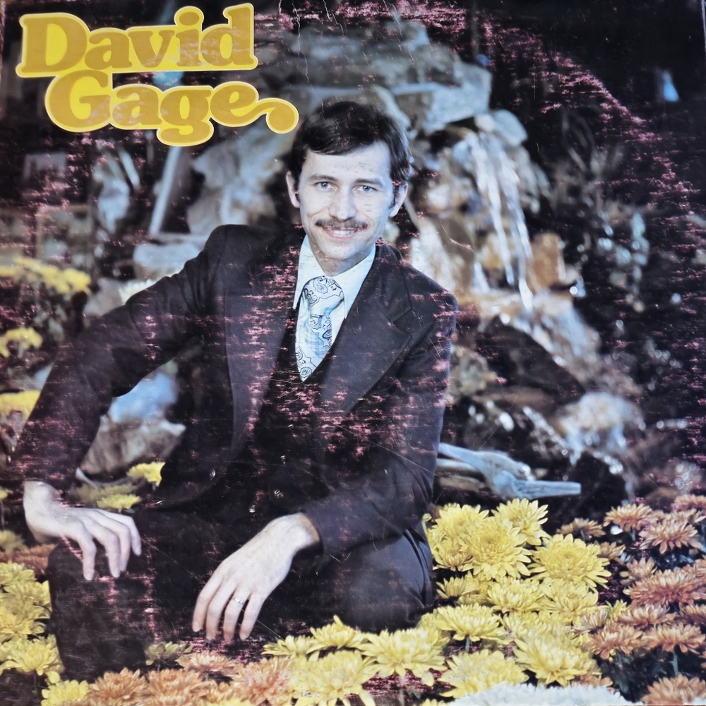 Vinyl - David Gage